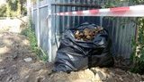 останки