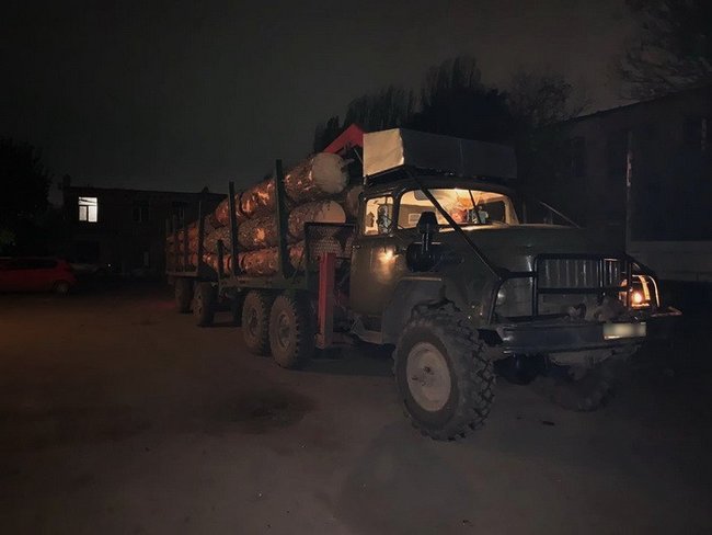 СБУ на Черкасщине разоблачила лесничего-взяточника, закрывавшего глаза на незаконную вырубку ценных пород деревьев 01