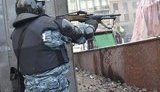 беркут