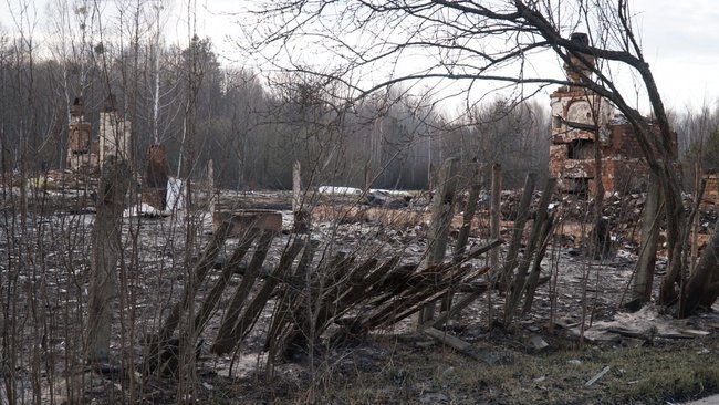 Причина лісових пожеж - приховування вирубки лісів, - Білецький показав кадри наслідків підпалів на Житомирщині 02 Причина лісових пожеж - приховування вирубки лісів, - Білецький показав кадри наслідків підпалів на Житомирщині 02