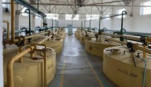 Лопатинский спиртзавод приватизировали за 50 миллионов, - ФГИ