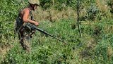 У районі Мар
