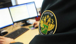 рф,митниця,росія