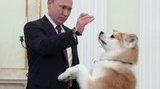 путин