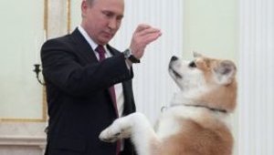 Акции