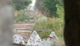 красногоровка