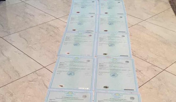 Premises of Bucha and Irpin mayors searched over seizure of 890 hectares of forest, - Lutsenko. PHOTOS