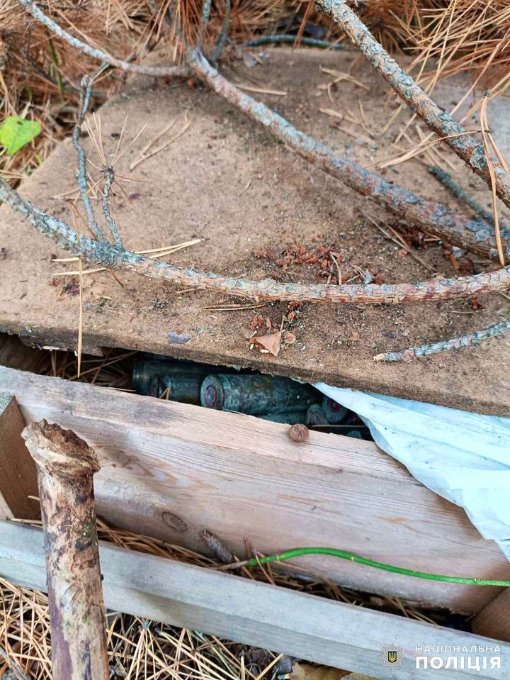 Mushroom picker found ammunition depot in forest in Zhytomyr region, - Ministry of Internal Affairs 04