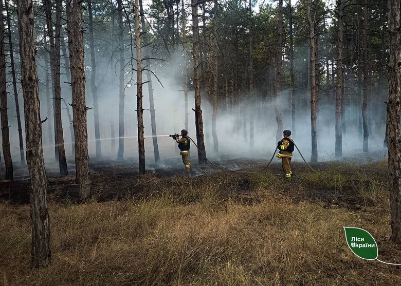 Російські БПЛА, КАБи та FPV-дрони спричинили пожежі на 42 га лісів України