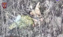 Десантники 77 бригади уразили 30 російських штурмовиків на Харківщині