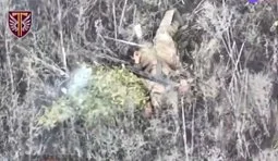 Десантники 77 бригади уразили 30 російських штурмовиків на Харківщині