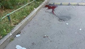 стрілянина в Києві Каплунов