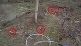 elimination of the occupiers with the help of drones