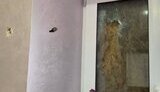 Последствия атаки на Днепропетровскую область