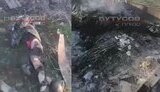 тіла окупантів після атаки українських воїнів