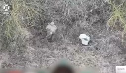 Прикордонники бригади Форпост уразили 2 окупантів на Вовчанському напрямку