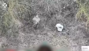 "Замерли, как опоссумы": пограничники "Форпост" ликвидировали двух неподвижных рашистов. ВИДЕО