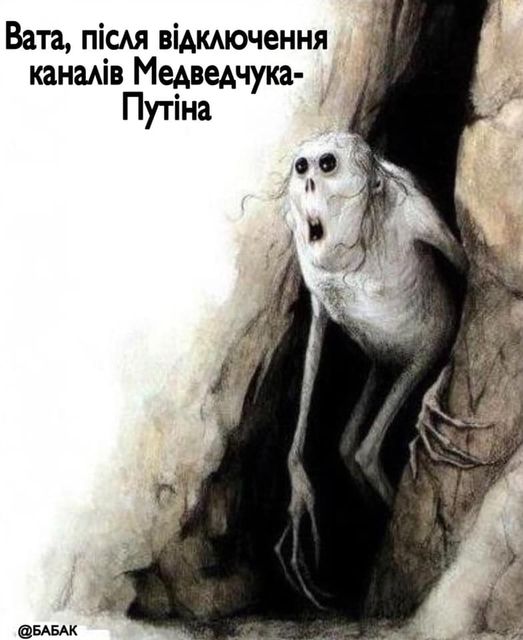 Лебединая песня сепаратистов. Закрытие каналов Медведчука в ФОТОжабах 10