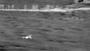 Украинский пулеметчик с вертолета Ми-8 сбил 7 российских "Шахедов". ВИДЕО