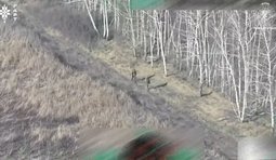 Бійці 16 корпусу завадили окупантам наблизитися до лінії зіткнення