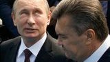 Учат в школе: Кошка Путина и сказки Януковича. Дайджест за неделю в анекдотах, курьезах и жабах
