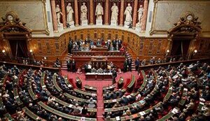 Сенат Франции поддержал законопроект, направленный на улучшение условий пребывания украинцев с временной защитой