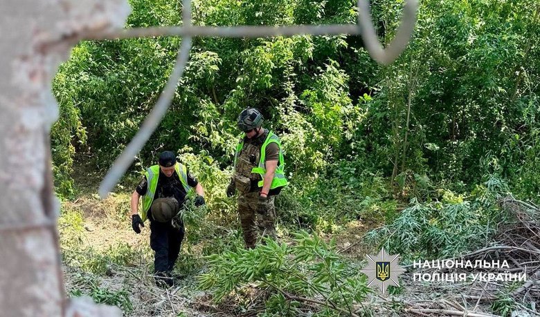 Після нічної атаки на Київ вибухотехніки знешкодили 12 суббоєприпасів ракети Х-69
