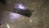 Во Львове у могилы агента НКВД Кузнецова, прах которого ранее не разрешили перезахоронить в России, обнаружили подкоп. ФОТОрепортаж