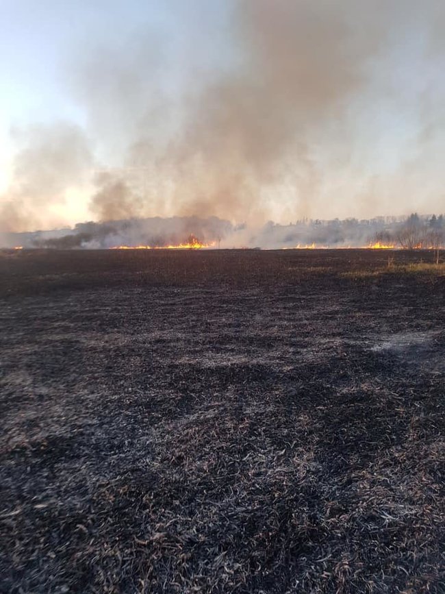 На Тернопільщині згорів орнітологічний заказник, - ДСНС 05