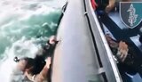 море,ссо