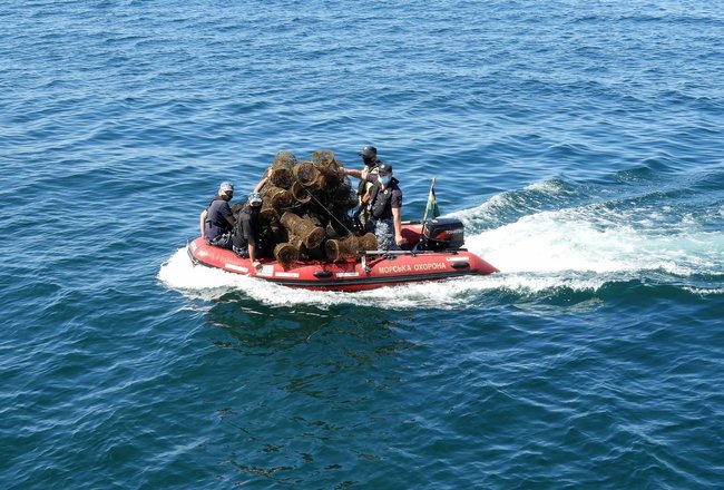 Одесские пограничники выпустили из браконьерских ловушек почти 800 крабов, занесенных в Красную книгу 03