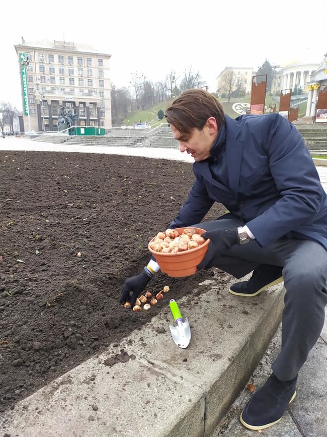 100 тыс. тюльпанов, подаренных Нидерландами, высадили в центре Киева 03
