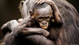 Лучшие фото недели от National Geographic. ФОТОрепортаж