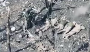 Розстріл окупантами українських військових