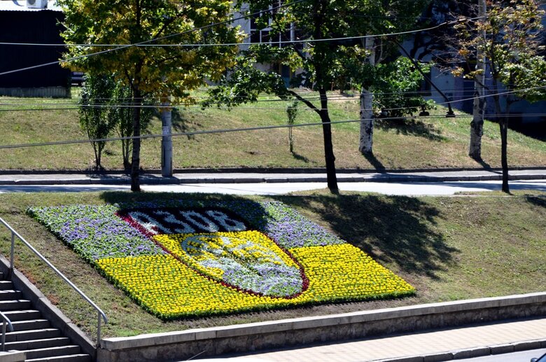 В Киеве создали цветочное панно в честь Азова 02