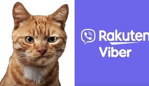 Чи є Viber безпечним месенджером і шо з ним не так