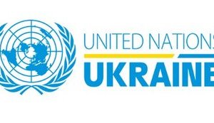 Представительство ООН призвало к прозрачному и эффективному расследованию нападений на активистов в Украине