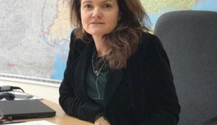 ООН призывает правительство Украины расследовать и публично осудить все нападения на меньшинства, - Фрейзер