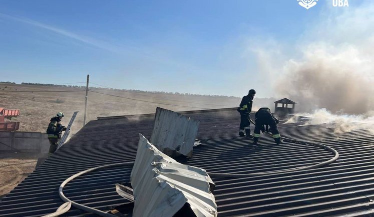 Рашисти атакували птахоферму на Одещині: виникла пожежа, частина птиці загинула. ФОТОрепортаж