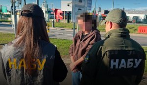 Обвиняемую в продаже за бесценок земли на Закарпатье экстрадировали из Германии, - НАБУ