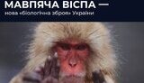 фейк,дезінформація