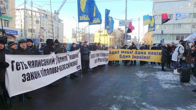 закон кс пикет языковой