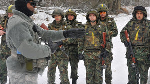 What is this beast the NCO and how does a professional NCO change the roles of officers?