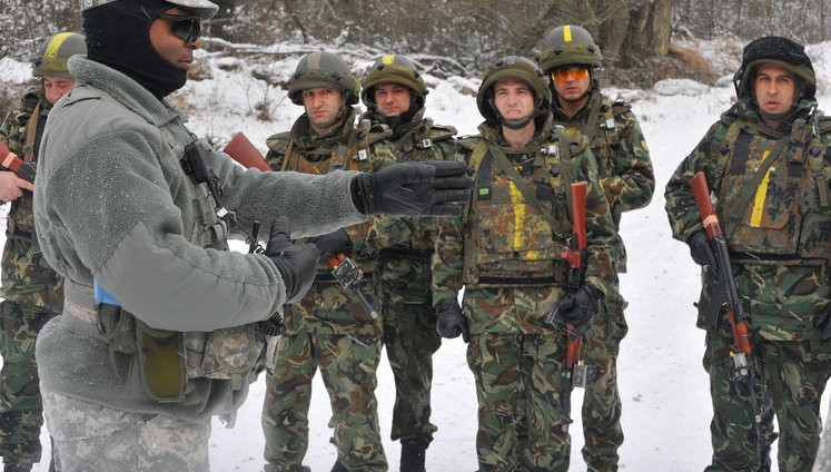 What is this beast the NCO and how does a professional NCO change the roles of officers?