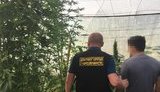 наркотики