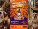 У Києві пройде фестиваль для усіх порід собак - Holy Sweets Dog Festival: Halloween edition