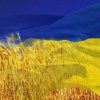 Конон Конон