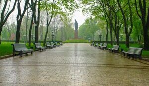 У парку Шевченка в Києві впало дерево: 1 людина померла, 3 - госпіталізовані (оновлено)