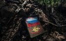 знищення,ліквідація