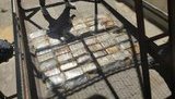 Попытка контрабанды 50 брикетов латиноамериканского кокаина пресечена в Одесской области, - СБУ. ФОТО